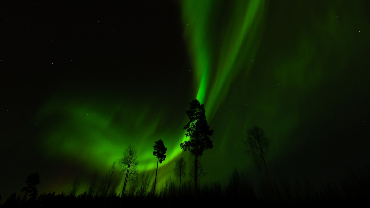 Aurora, Gr, Natur, Licht, Nacht. Wallpaper in 1280x720 Resolution