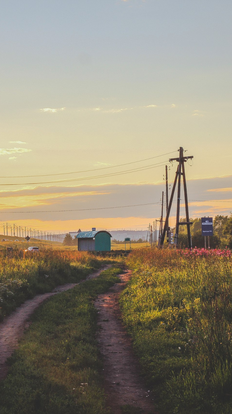Green Grass Field Near Body of Water During Sunset. Wallpaper in 750x1334 Resolution