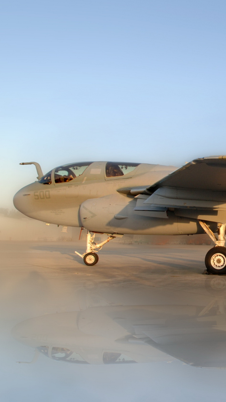 Avion de Chasse Noir Sur Champ Gris Pendant la Journée. Wallpaper in 750x1334 Resolution