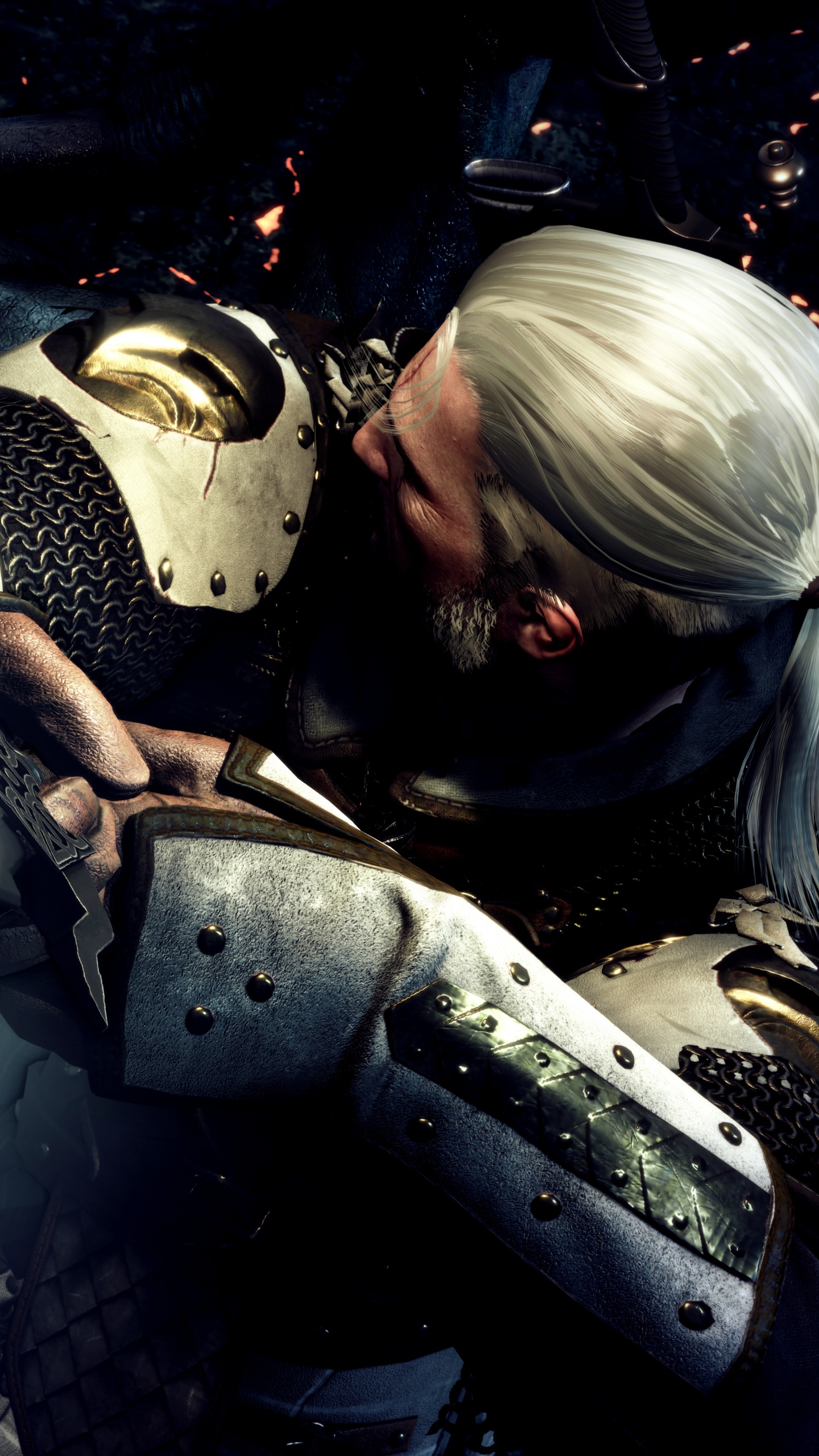 The Witcher 3 Wild Hunt, Geralt de Rivia, Ciri, Brazo, Espacio. Wallpaper in 1440x2560 Resolution