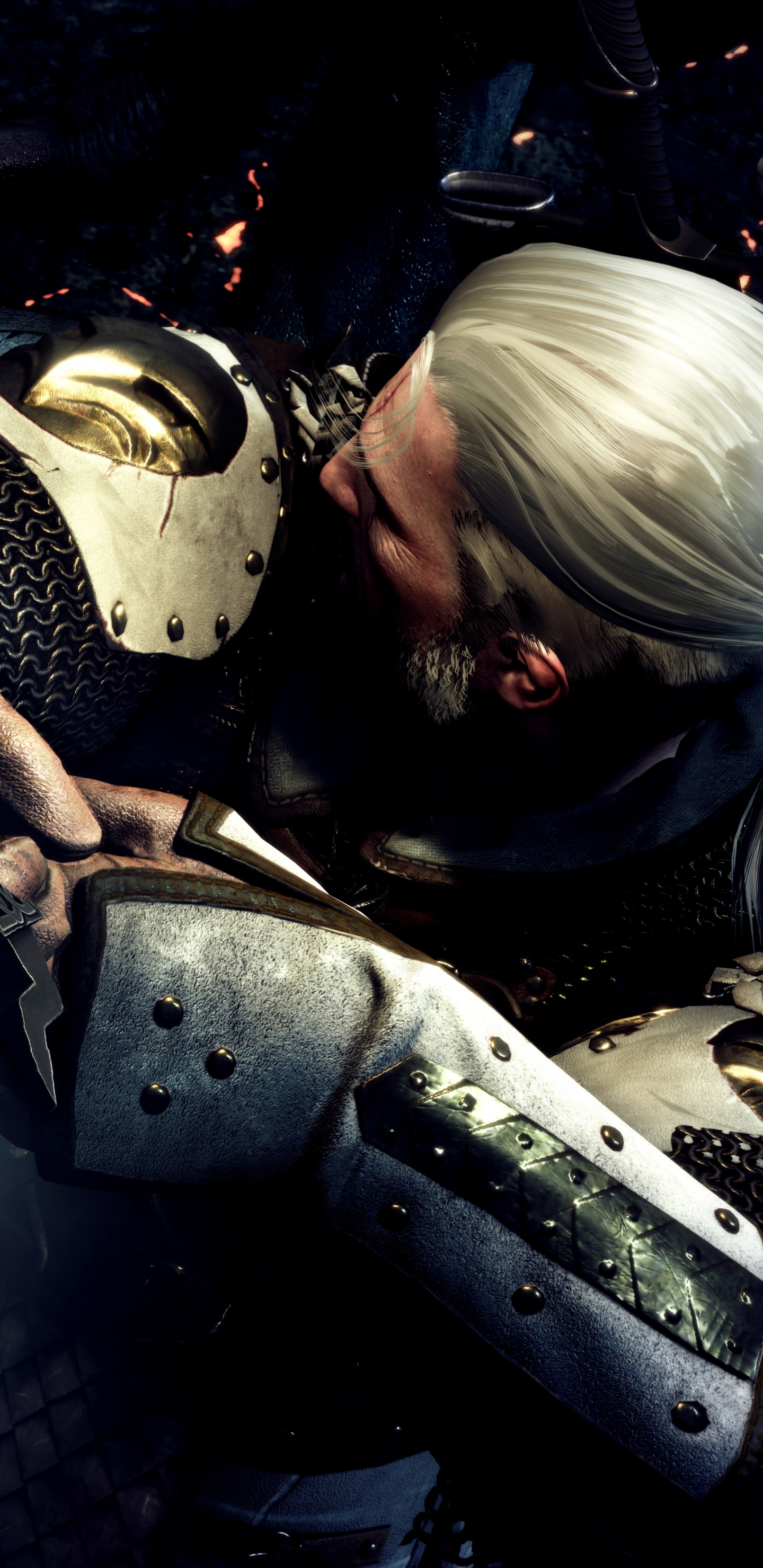 The Witcher 3 Wild Hunt, Geralt de Rivia, Ciri, Brazo, Espacio. Wallpaper in 1440x2960 Resolution
