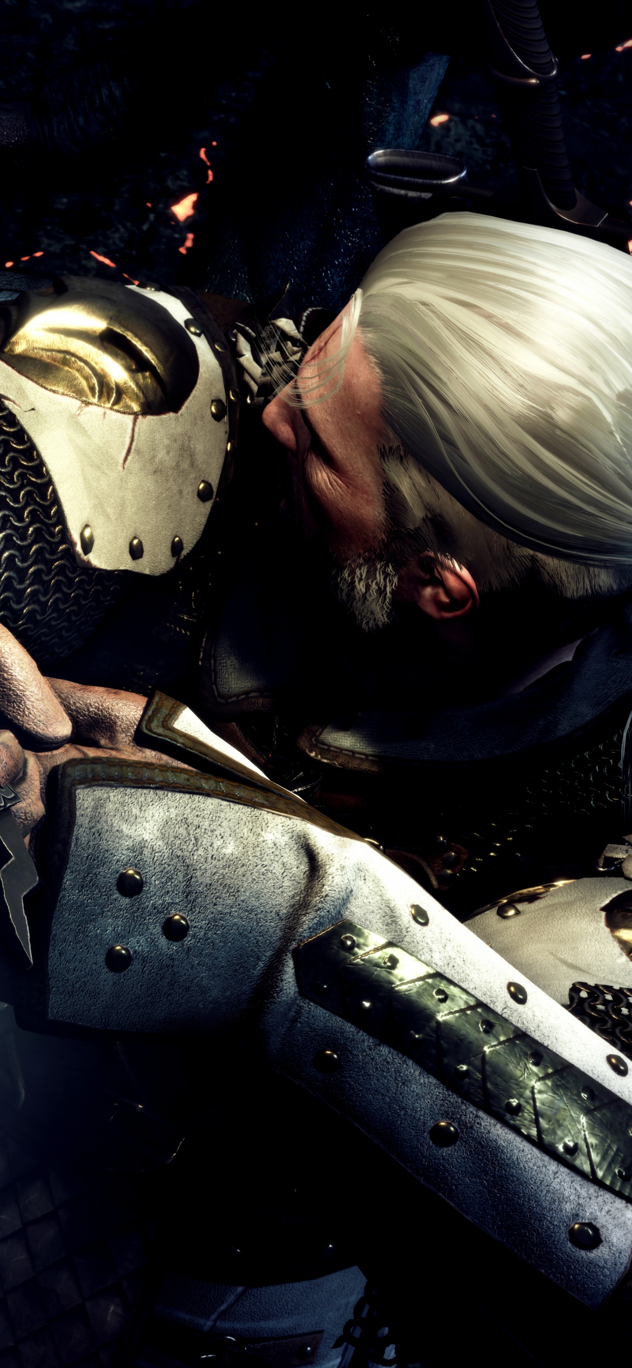 The Witcher 3 Wild Hunt, Geralt de Rivia, Ciri, Obscurité, Bras. Wallpaper in 1242x2688 Resolution