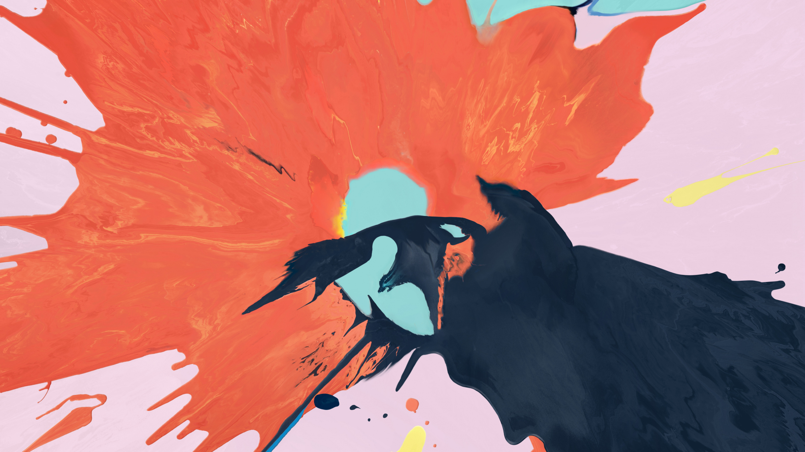 Pintura de Pájaro Blanco y Negro. Wallpaper in 2560x1440 Resolution