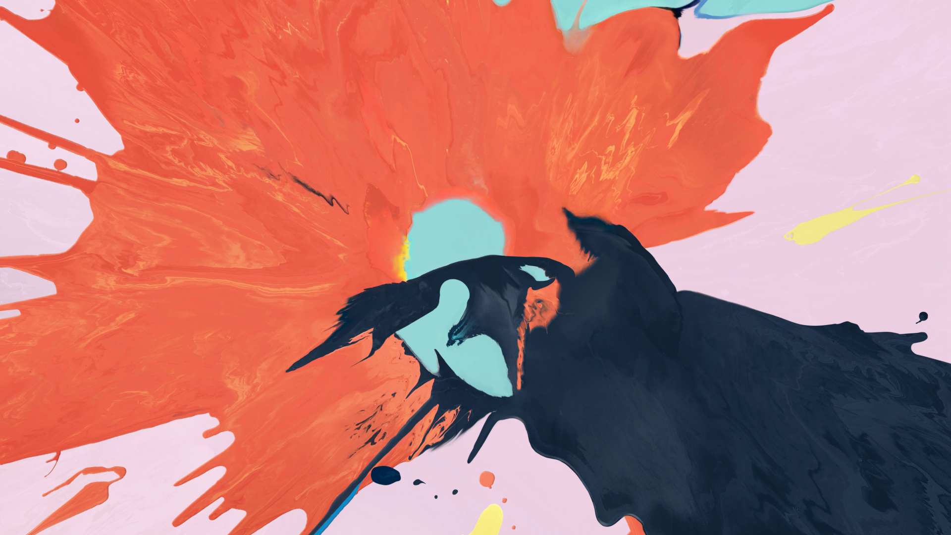 Black and White Bird Painting. Wallpaper in 1920x1080 Resolution