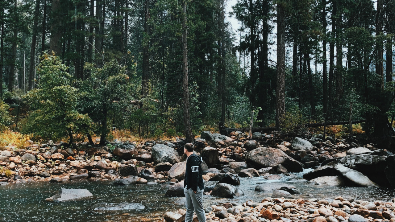 Wilderness, Water, Stream Bed, Old Growth Forest, Natural Environment. Wallpaper in 1280x720 Resolution