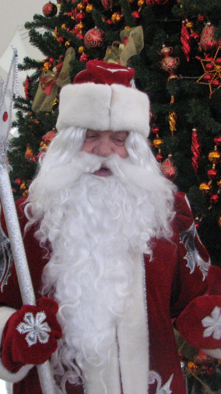 Santa Claus, Decoración de la Navidad, Navidad, Tradición, Evento. Wallpaper in 750x1334 Resolution