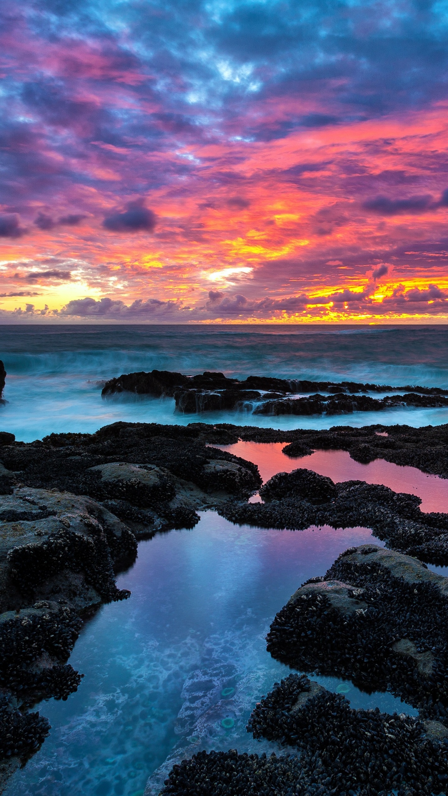 Braune Felsen am Meer Bei Sonnenuntergang. Wallpaper in 1440x2560 Resolution