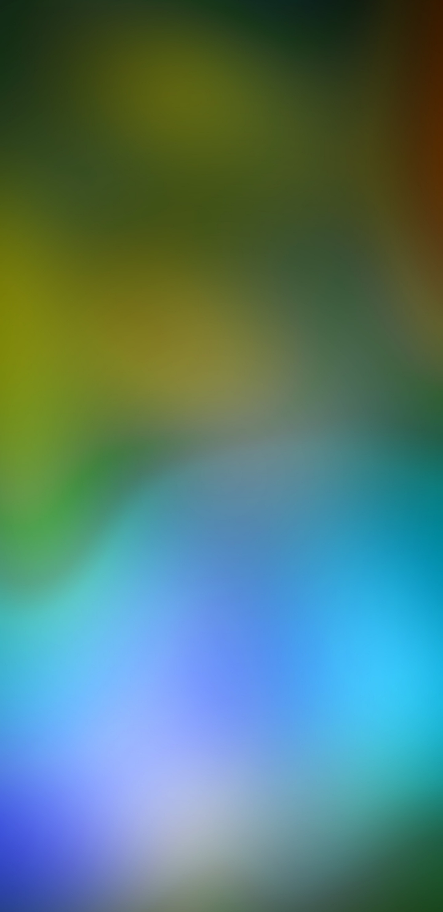 IPhone, IPhone X, Apple, IOS, Smartphone. Wallpaper in 1440x2960 Resolution