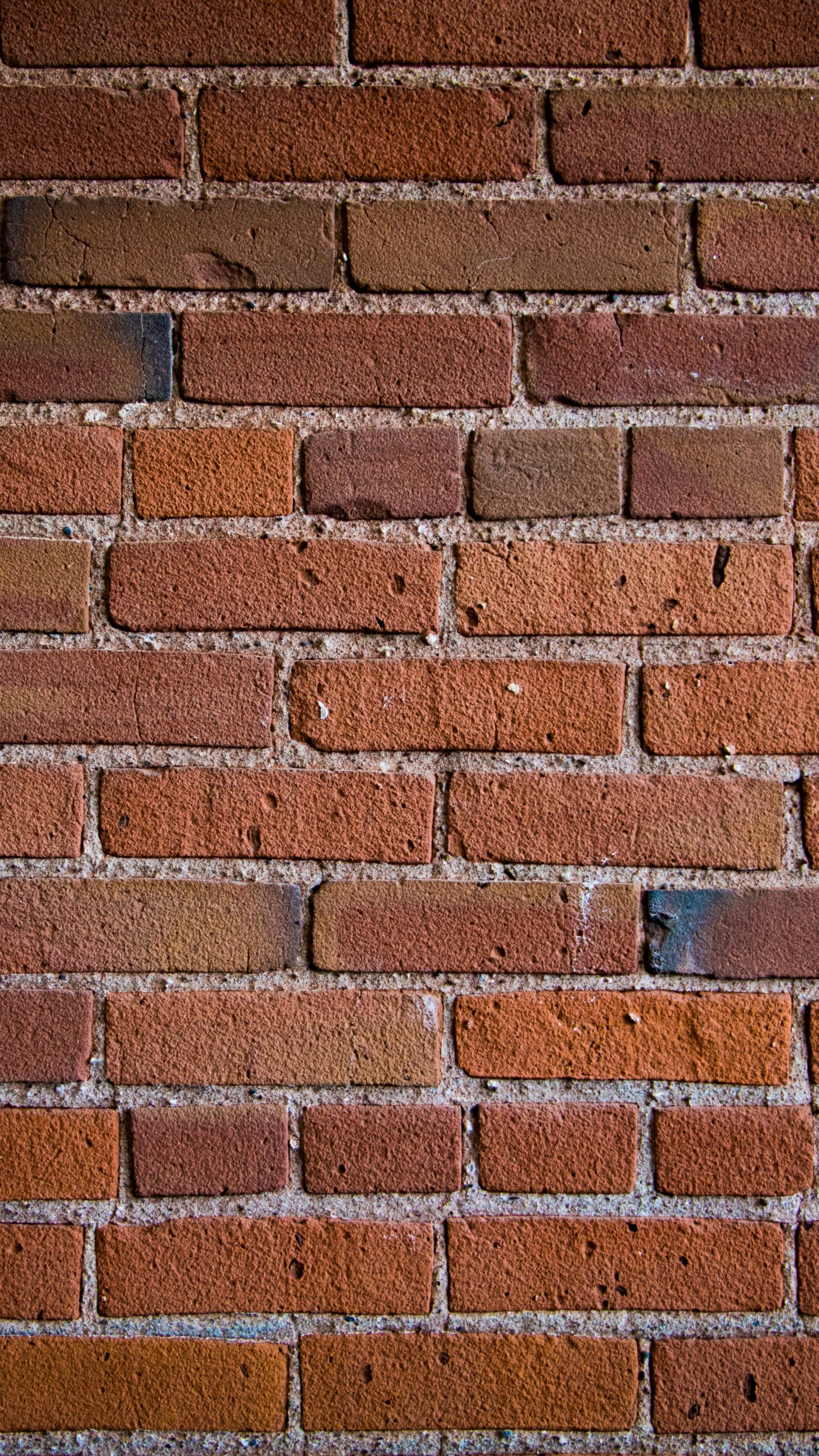 Brown and White Brick Wall. Wallpaper in 1440x2560 Resolution