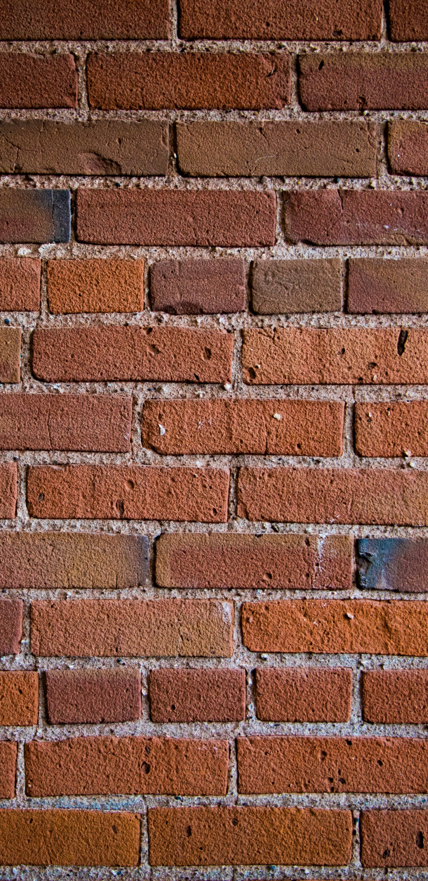 Brown and White Brick Wall. Wallpaper in 1440x2960 Resolution