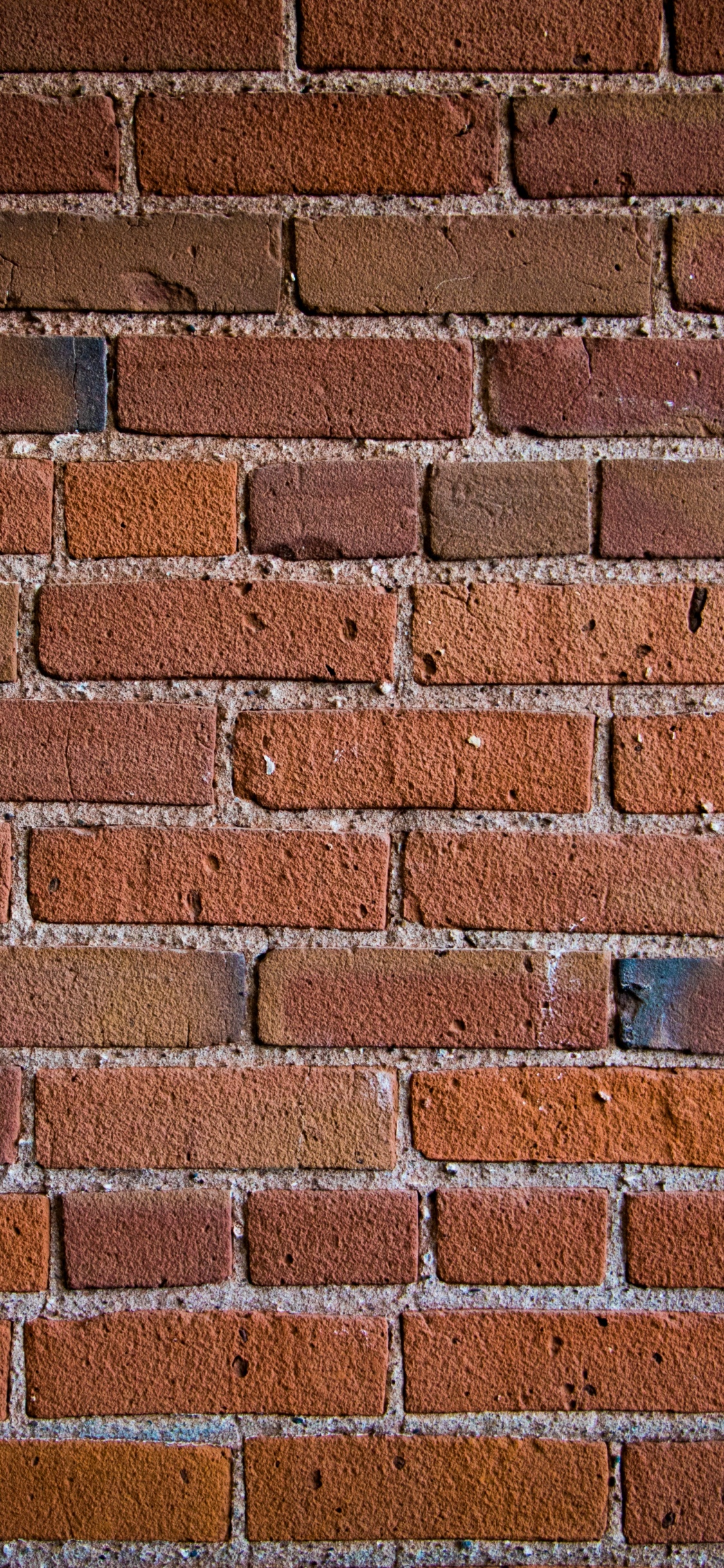 Mur de Briques Marron et Blanc. Wallpaper in 1125x2436 Resolution