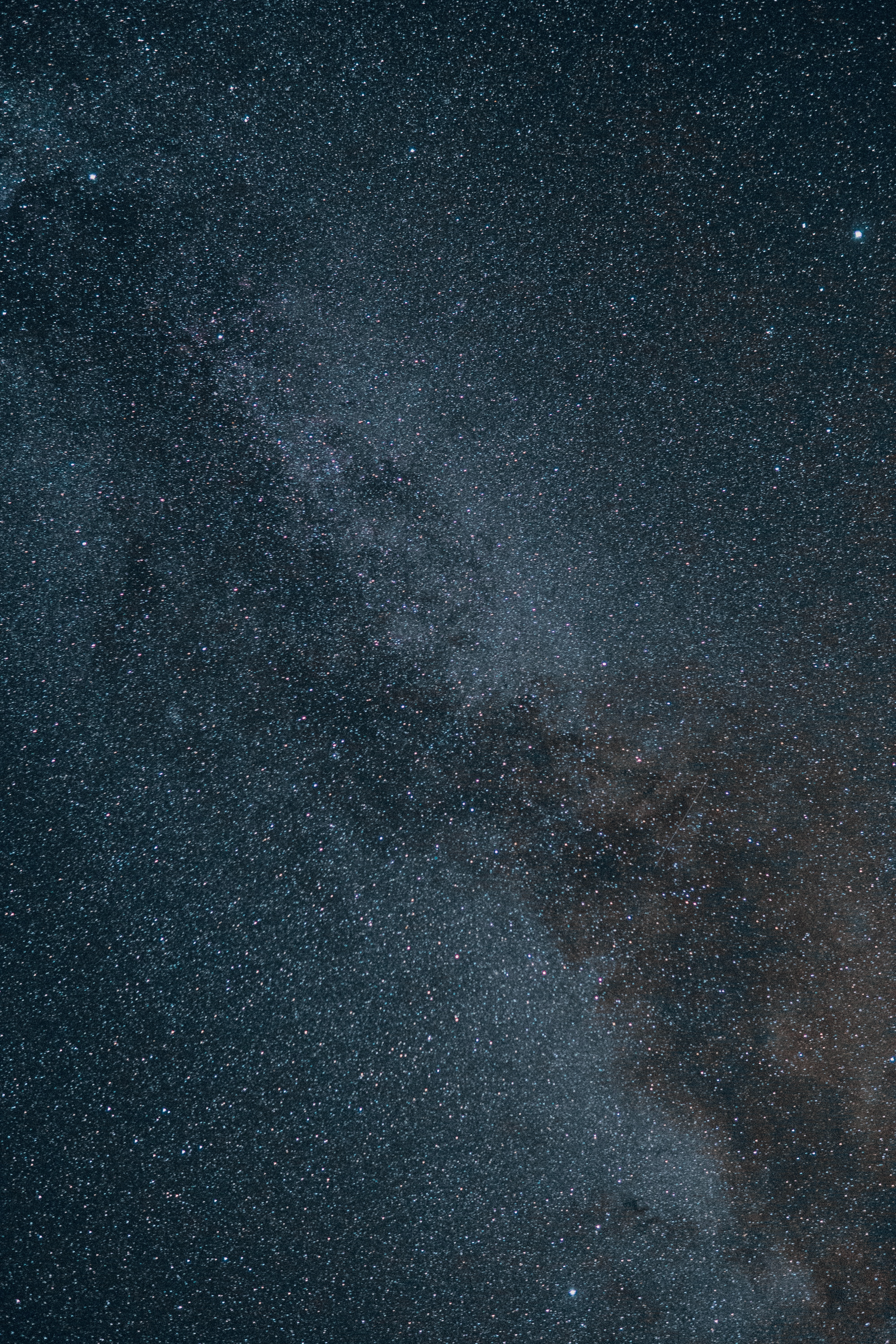 Download Black Starry Summer Night Wallpaper  GetWallsio