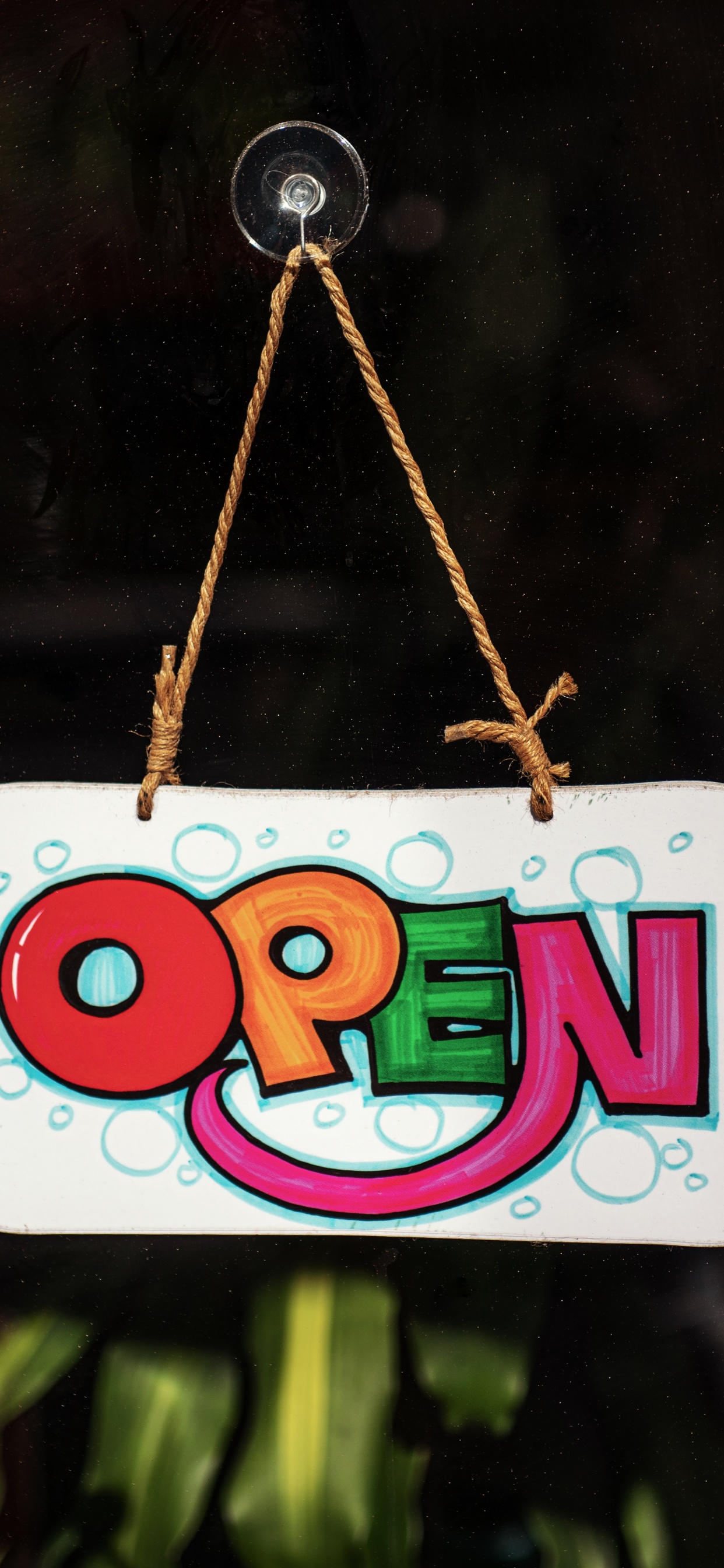 Weiße Und Pinke Iphone Hülle Mit Eulendruck. Wallpaper in 1242x2688 Resolution