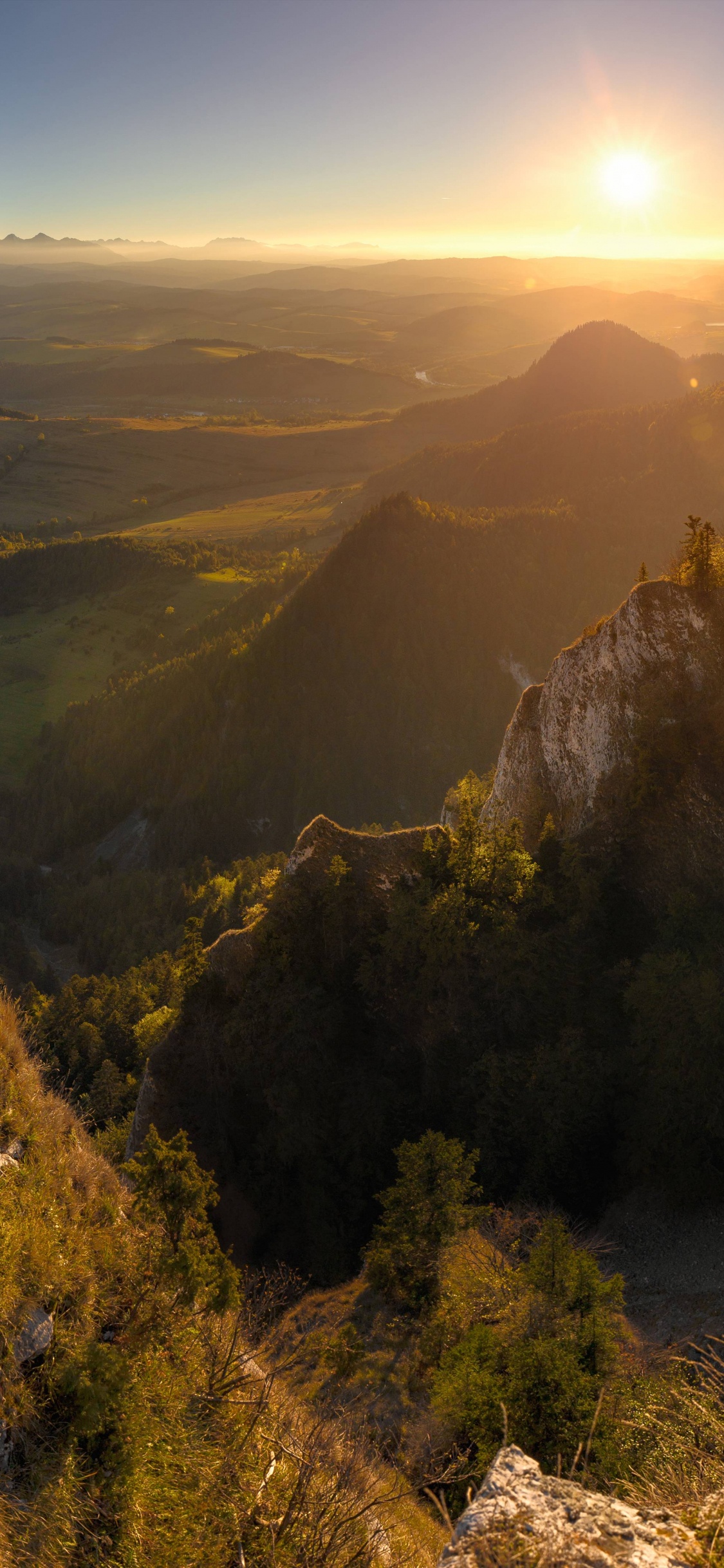 Tagsüber Grüne Bäume Auf Dem Berg. Wallpaper in 1125x2436 Resolution