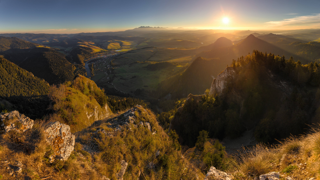 Tagsüber Grüne Bäume Auf Dem Berg. Wallpaper in 1280x720 Resolution