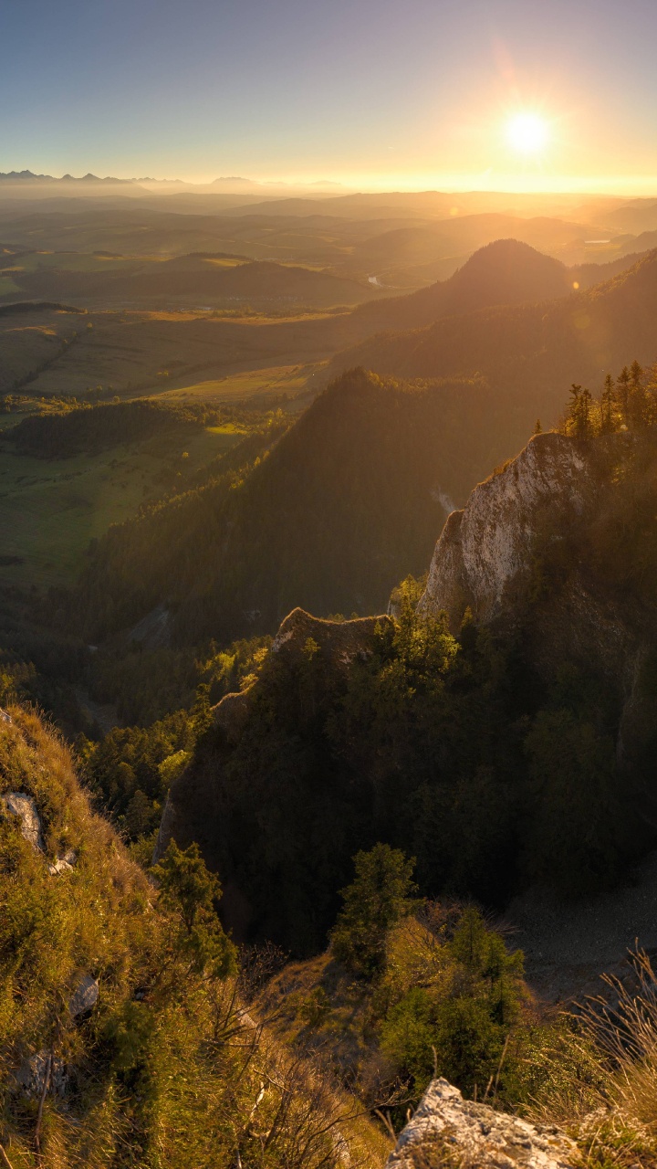 Tagsüber Grüne Bäume Auf Dem Berg. Wallpaper in 720x1280 Resolution