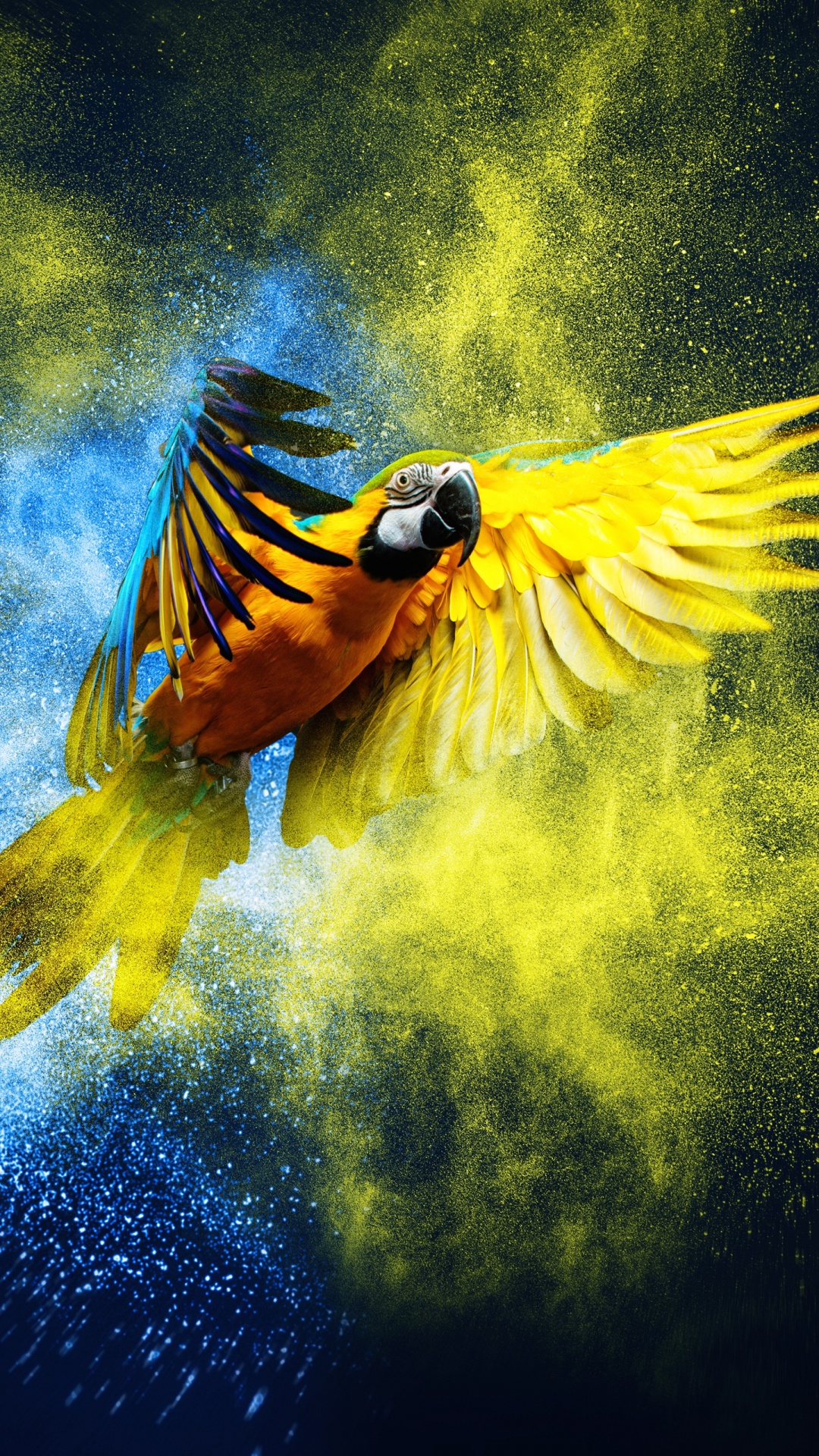 Blue Yellow Explosion, Blue and Yellow Macaw, Parrots, Birds, Macaw. Wallpaper in 1080x1920 Resolution