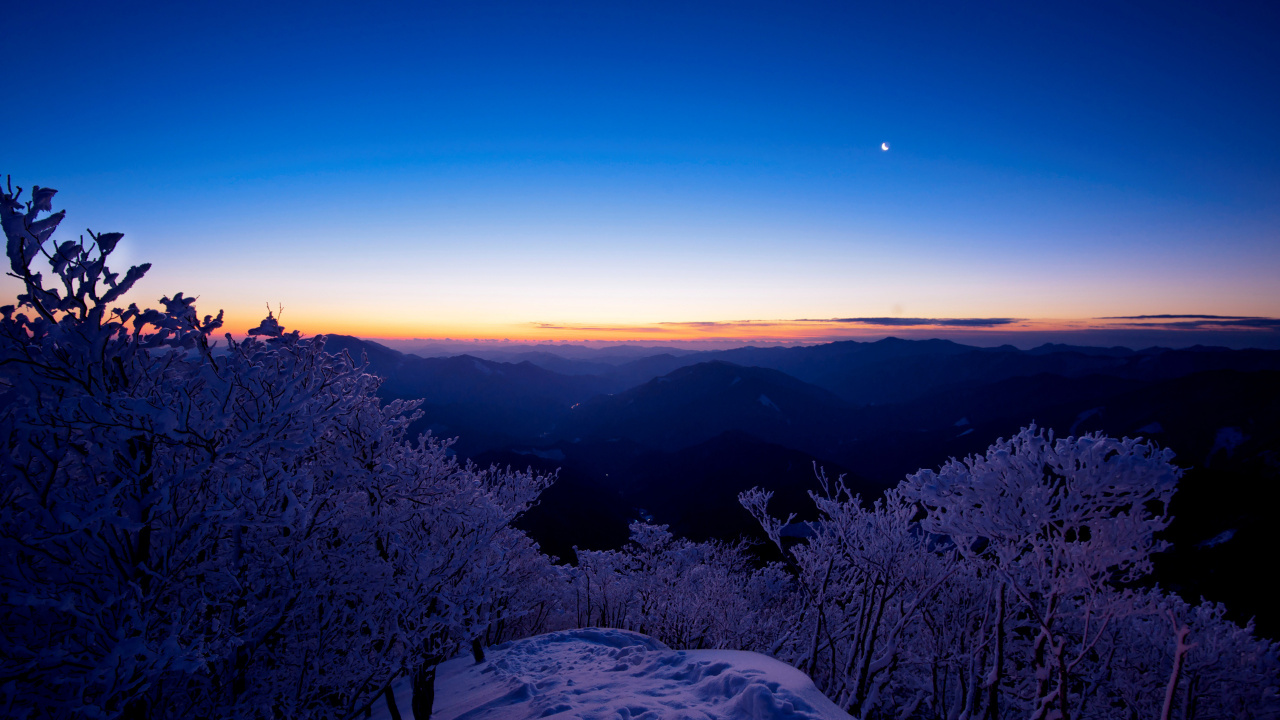 Árboles Verdes en el Suelo Cubierto de Nieve Durante el Día. Wallpaper in 1280x720 Resolution