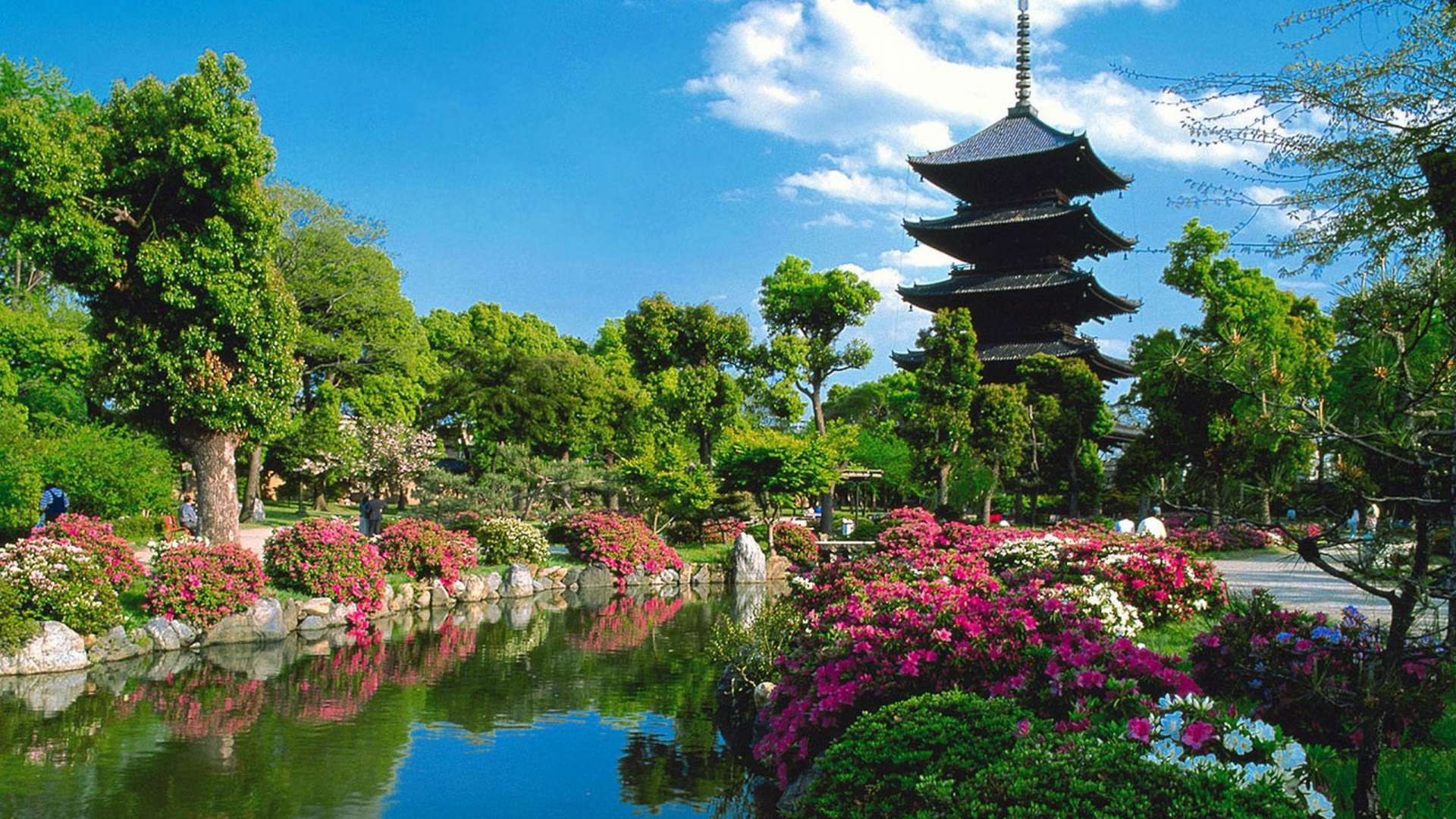花园, 性质, 植物园, 中国建筑, 城市 壁纸 1920x1080 允许