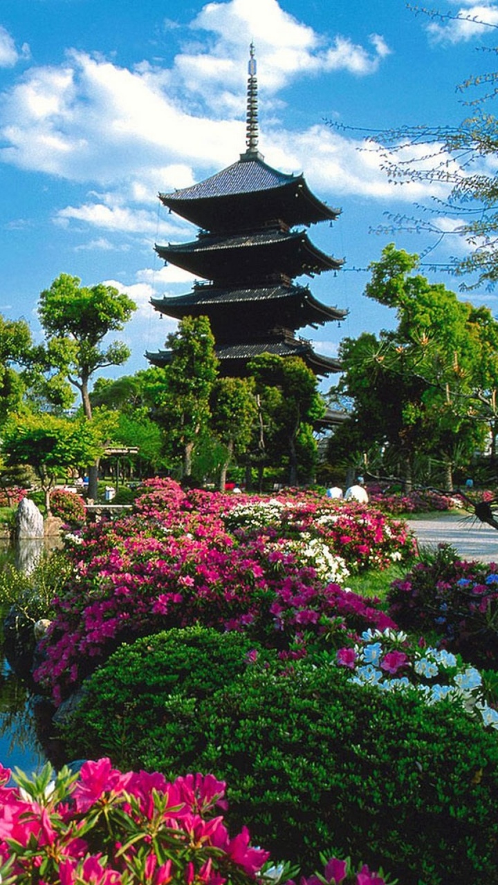 花园, 性质, 植物园, 中国建筑, 城市 壁纸 720x1280 允许