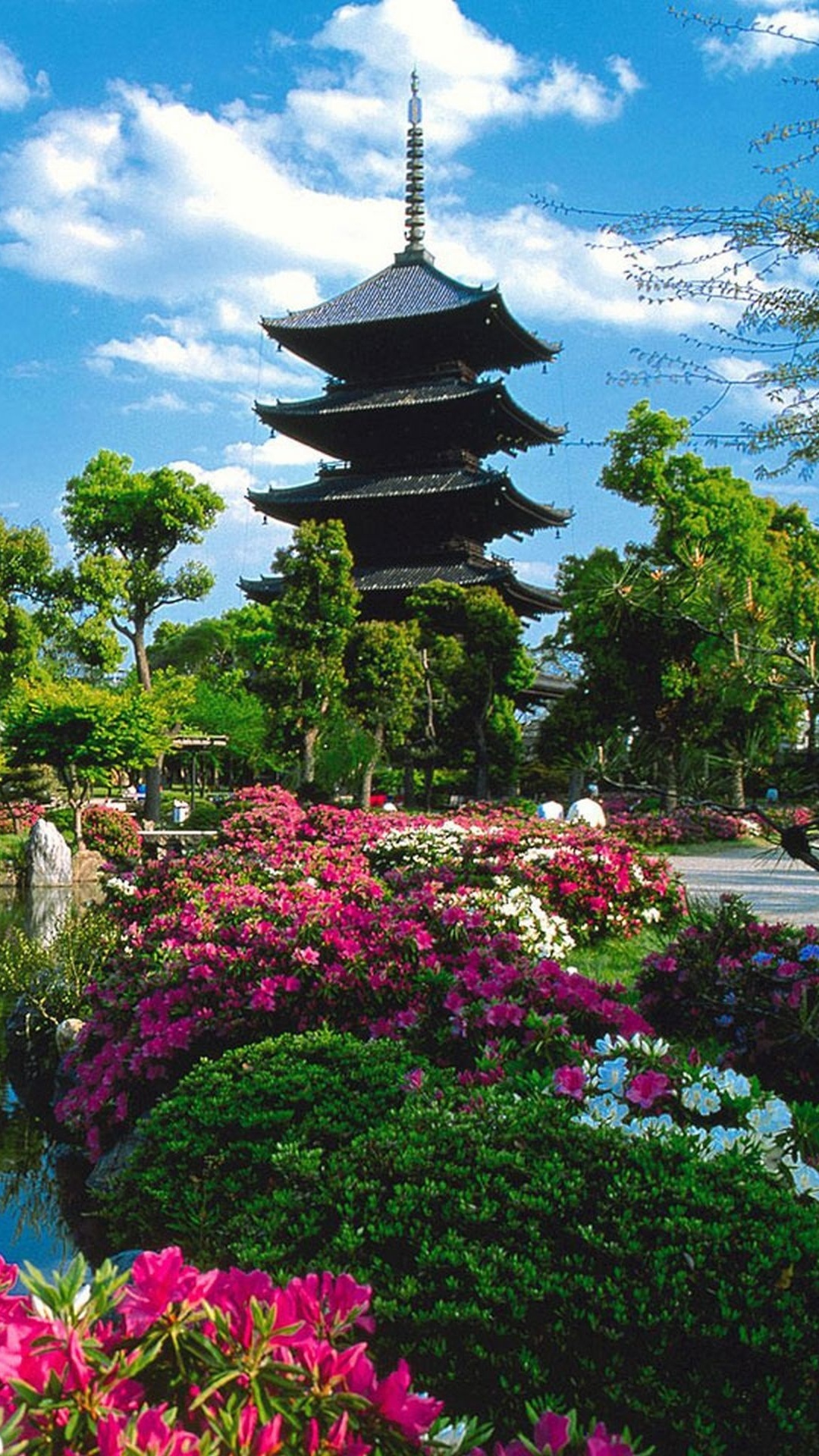 Árboles Verdes Cerca Del Cuerpo de Agua Durante el Día. Wallpaper in 1080x1920 Resolution