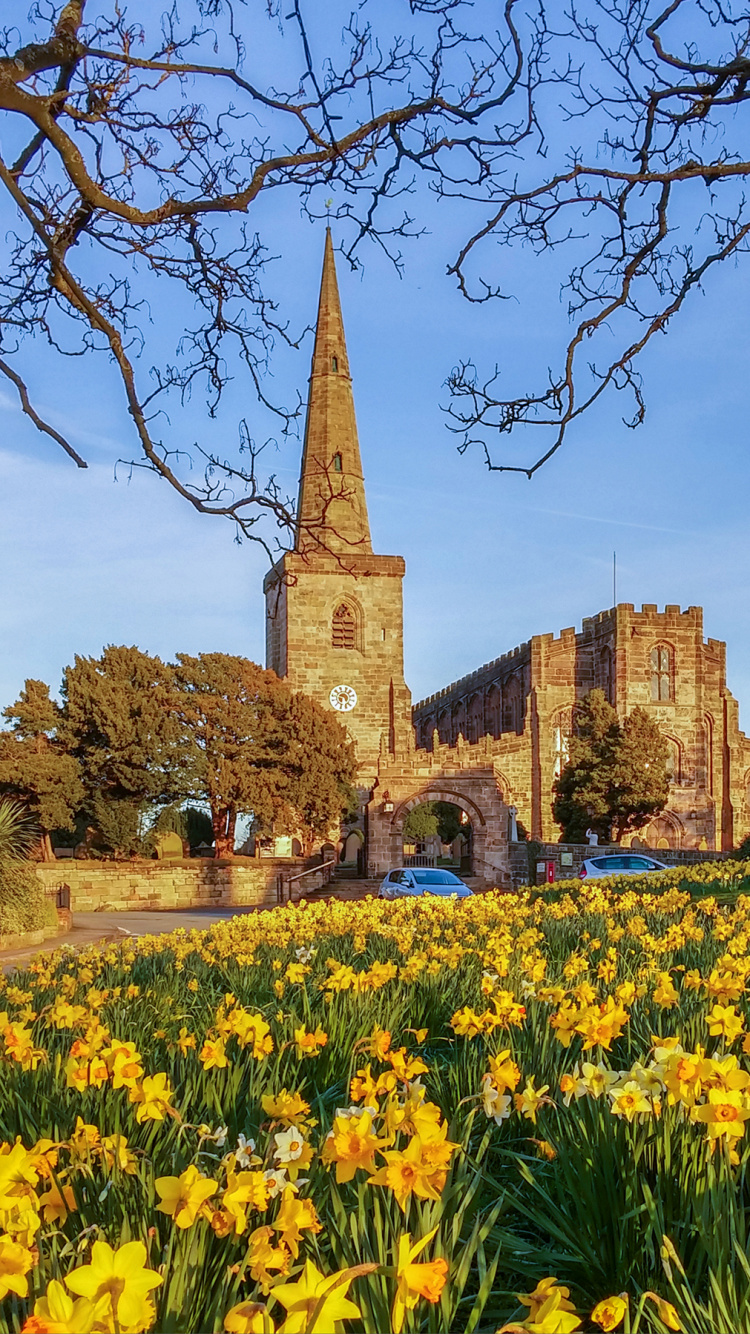Yellow Flower Field Near Brown Concrete Building During Daytime. Wallpaper in 750x1334 Resolution