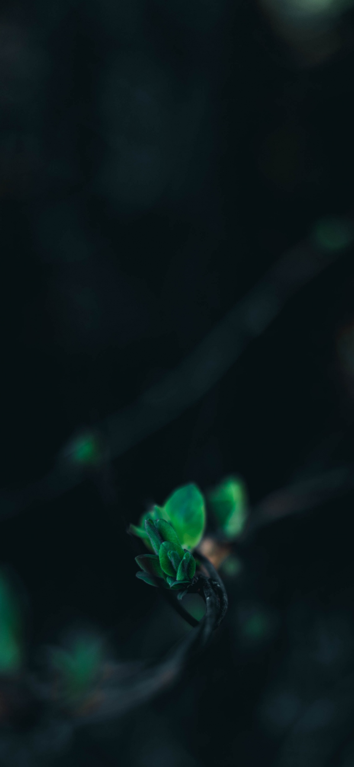 Green, Black, Water, Turquoise, Light. Wallpaper in 1125x2436 Resolution