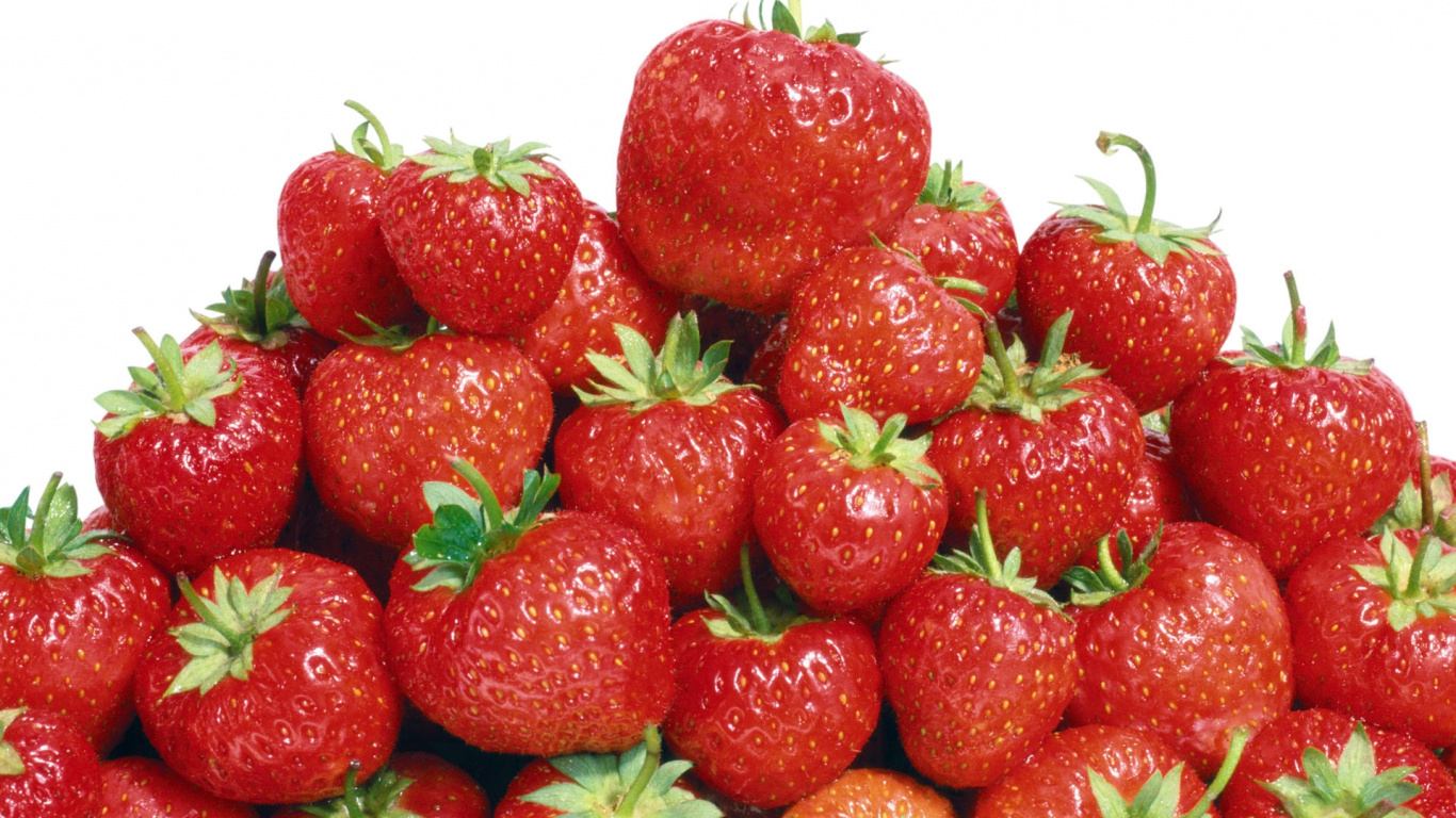 Red Strawberries on White Background. Wallpaper in 1366x768 Resolution