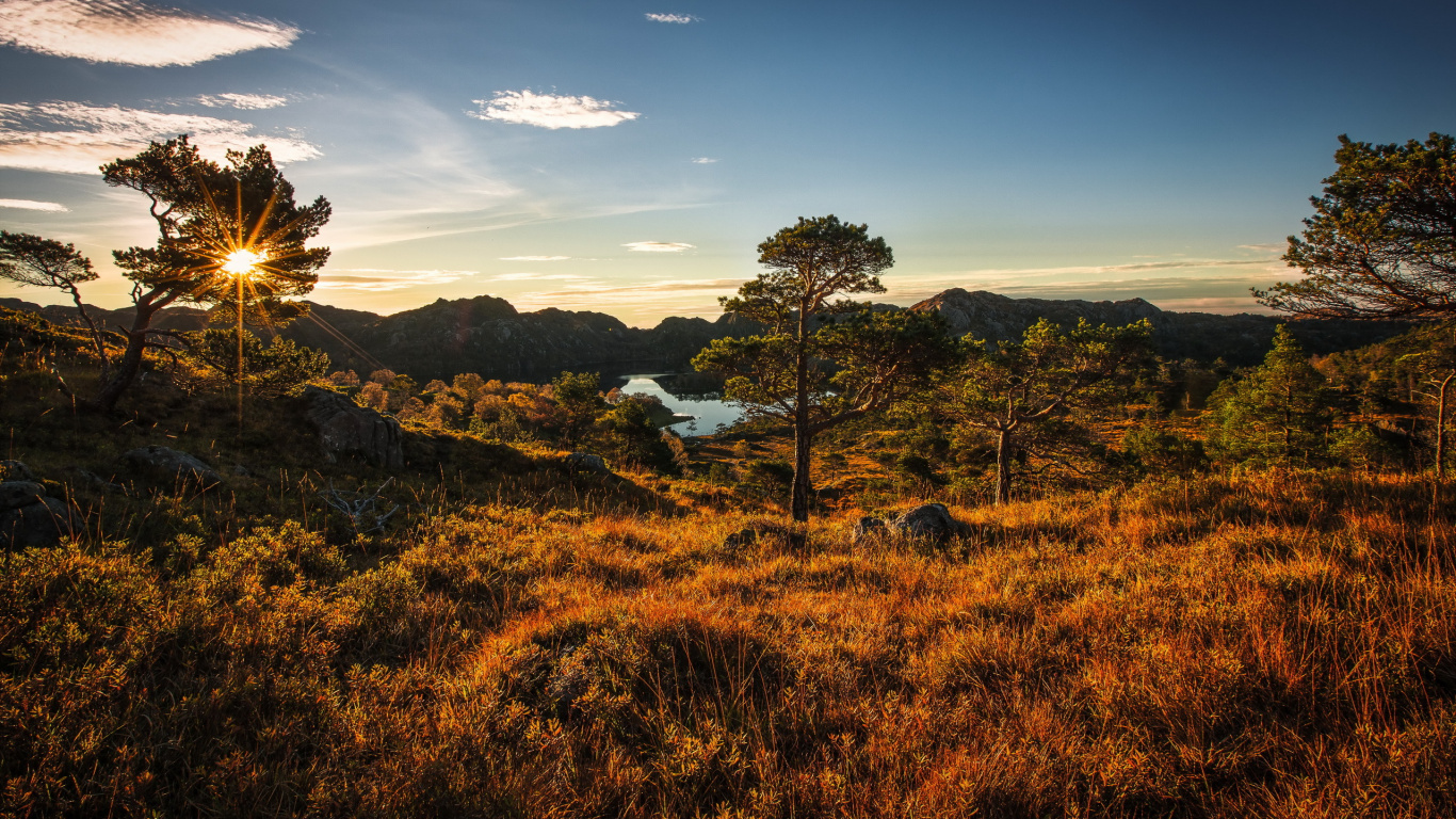 Champ D'herbe Verte Près Des Arbres Sous Ciel Bleu Pendant la Journée. Wallpaper in 1366x768 Resolution