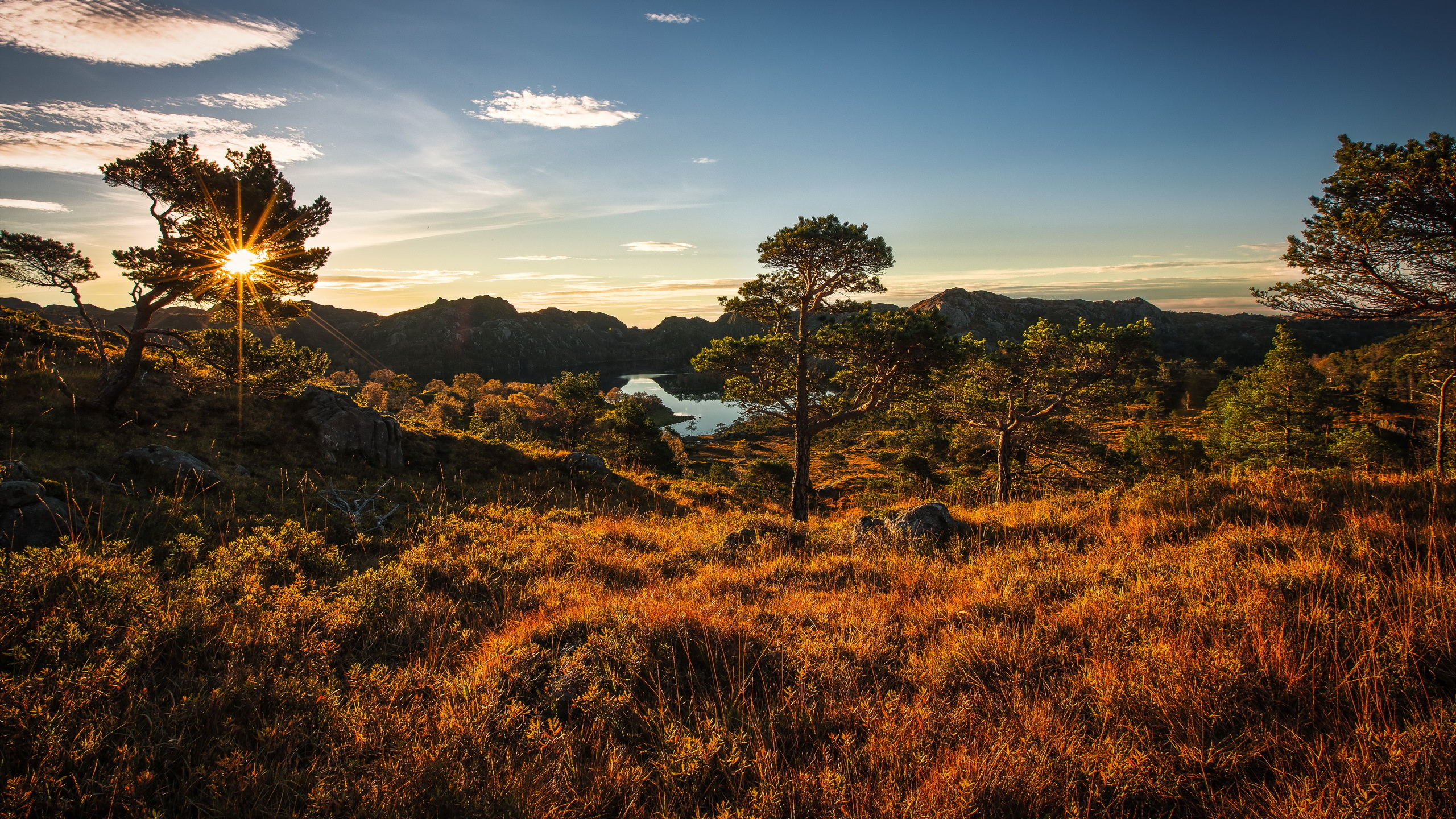Campo de Hierba Verde Cerca de Árboles Bajo un Cielo Azul Durante el Día. Wallpaper in 2560x1440 Resolution