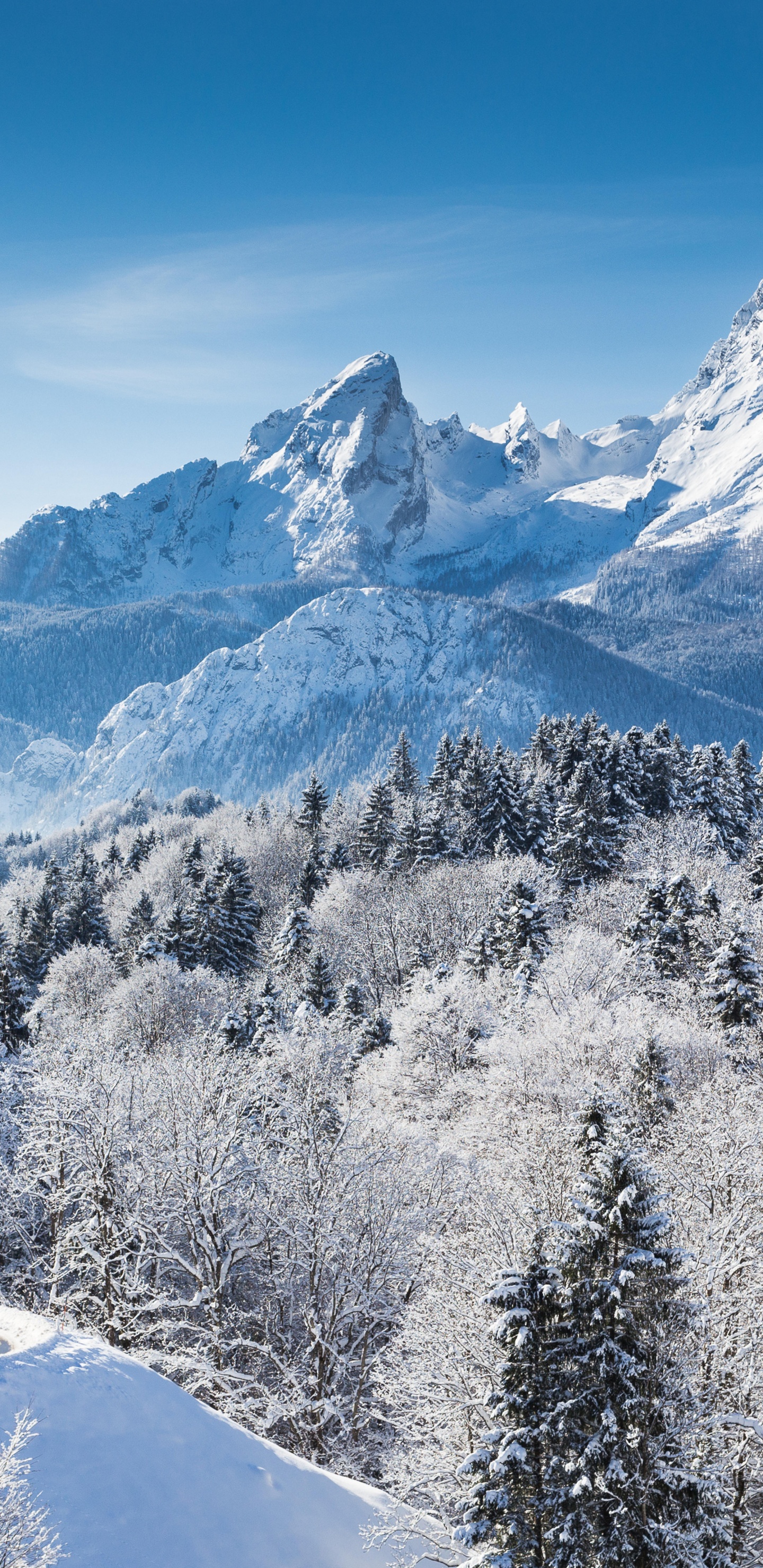 Maison Blanche et Noire Sur la Montagne Couverte de Neige Pendant la Journée. Wallpaper in 1440x2960 Resolution