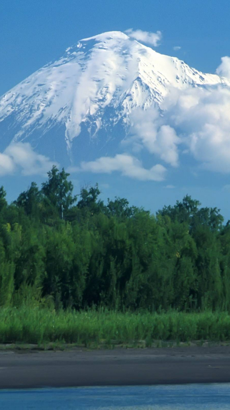 Árboles Verdes Cerca de la Montaña Cubierta de Nieve Bajo un Cielo Azul Durante el Día. Wallpaper in 750x1334 Resolution