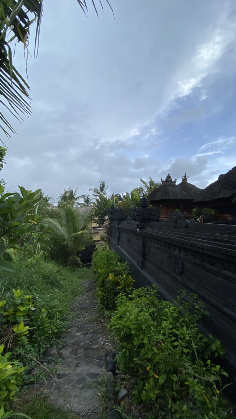 Bali, Vegetation, Ländlichen Bereich, Plantage, Garden. Wallpaper in 750x1334 Resolution