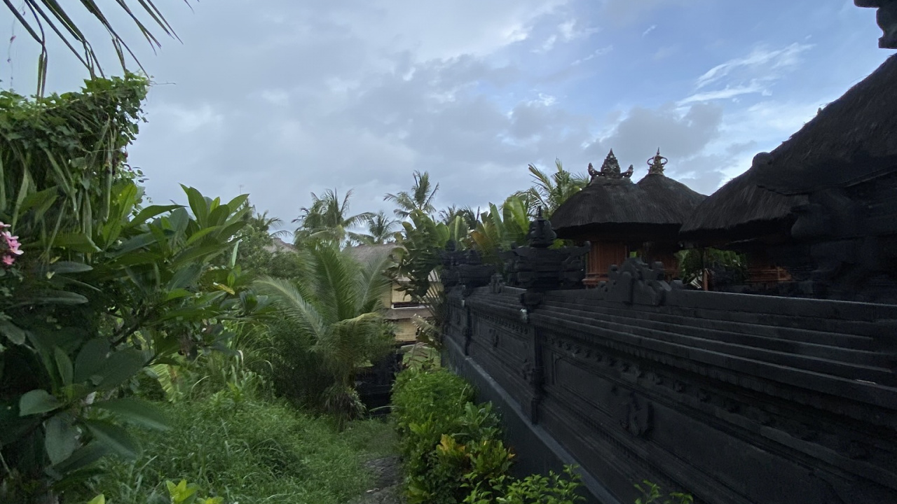 Bali, Végétation, Zone Rurale, Plantation, Garden. Wallpaper in 1280x720 Resolution