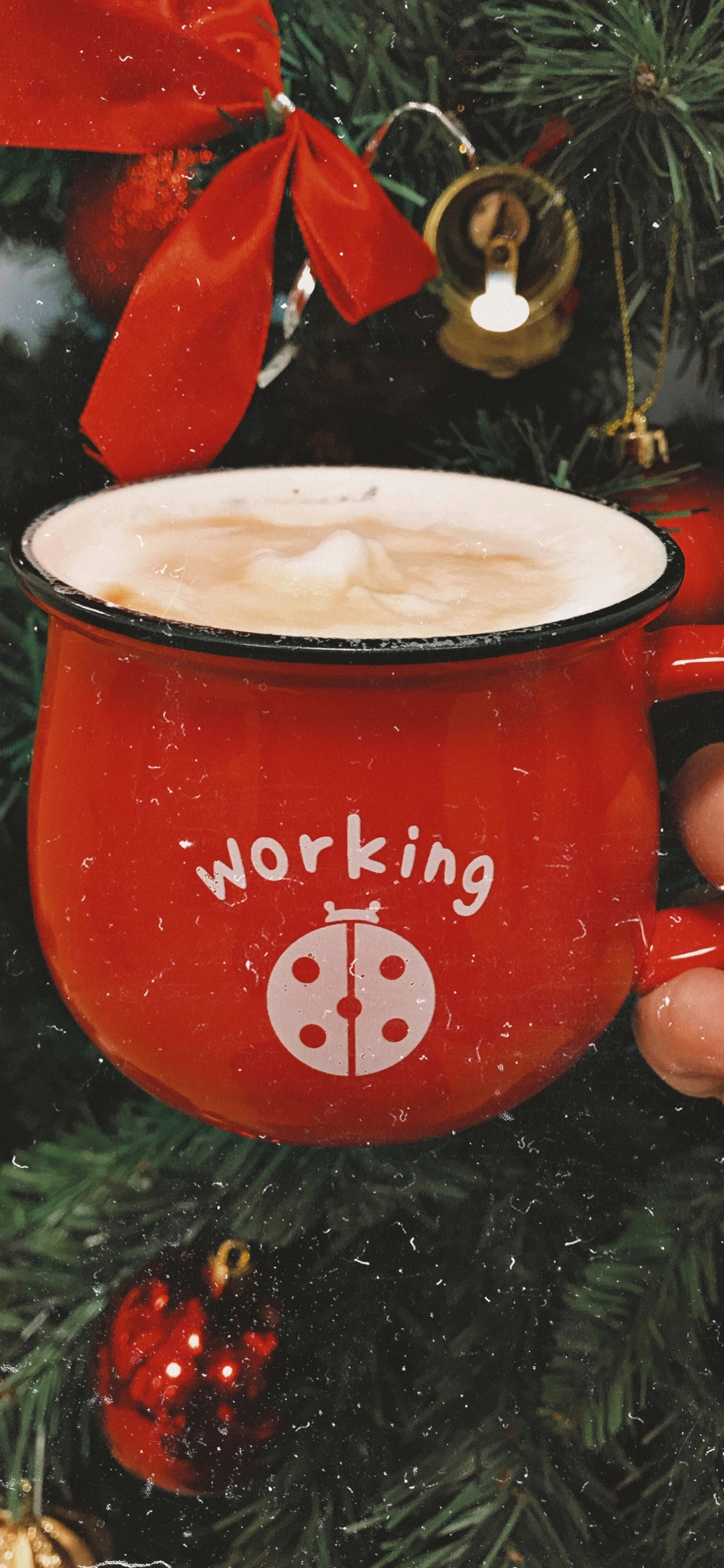 Person Holding Red and White Ceramic Mug With Coffee. Wallpaper in 1242x2688 Resolution