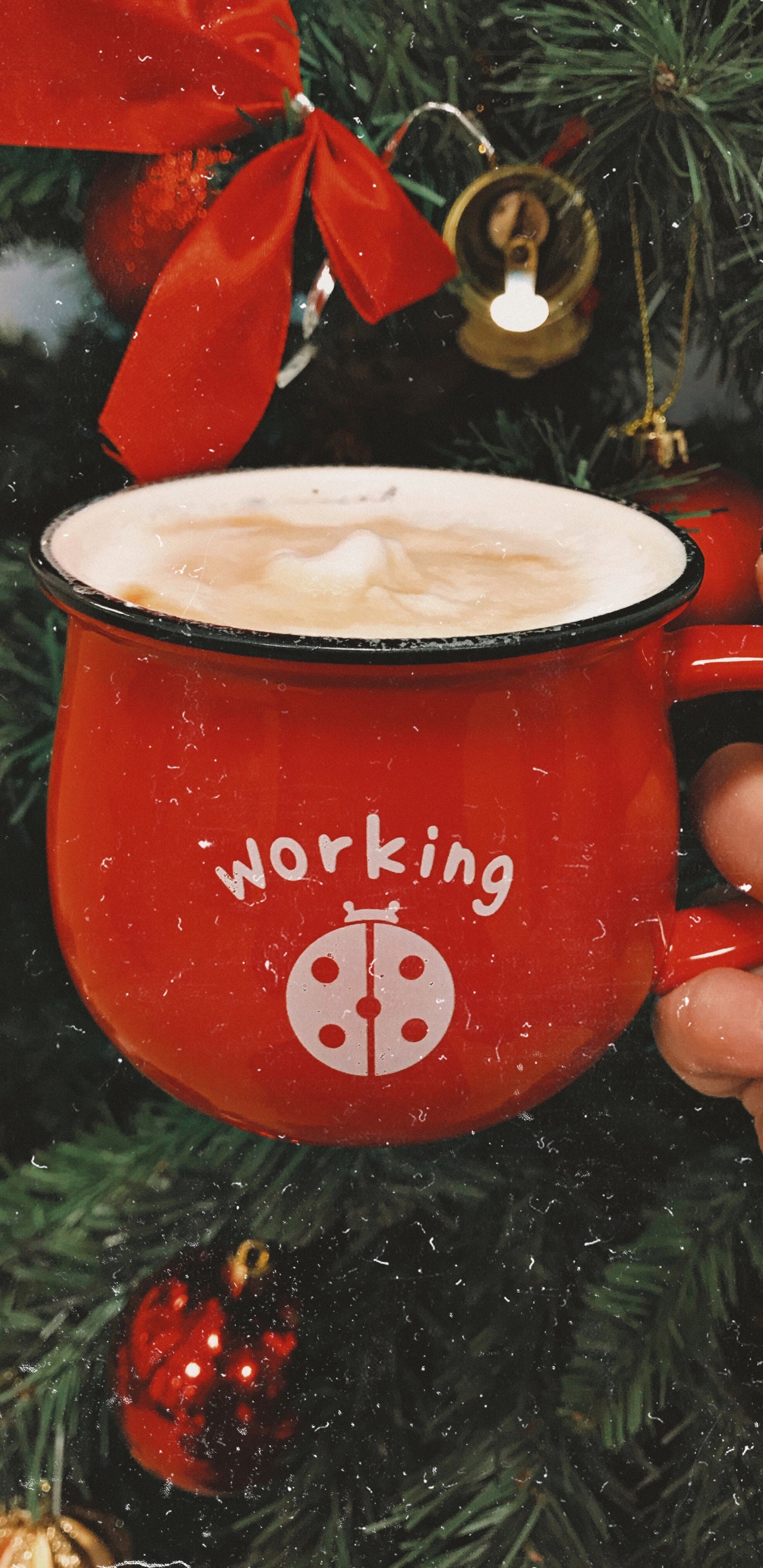 Person Holding Red and White Ceramic Mug With Coffee. Wallpaper in 1440x2960 Resolution