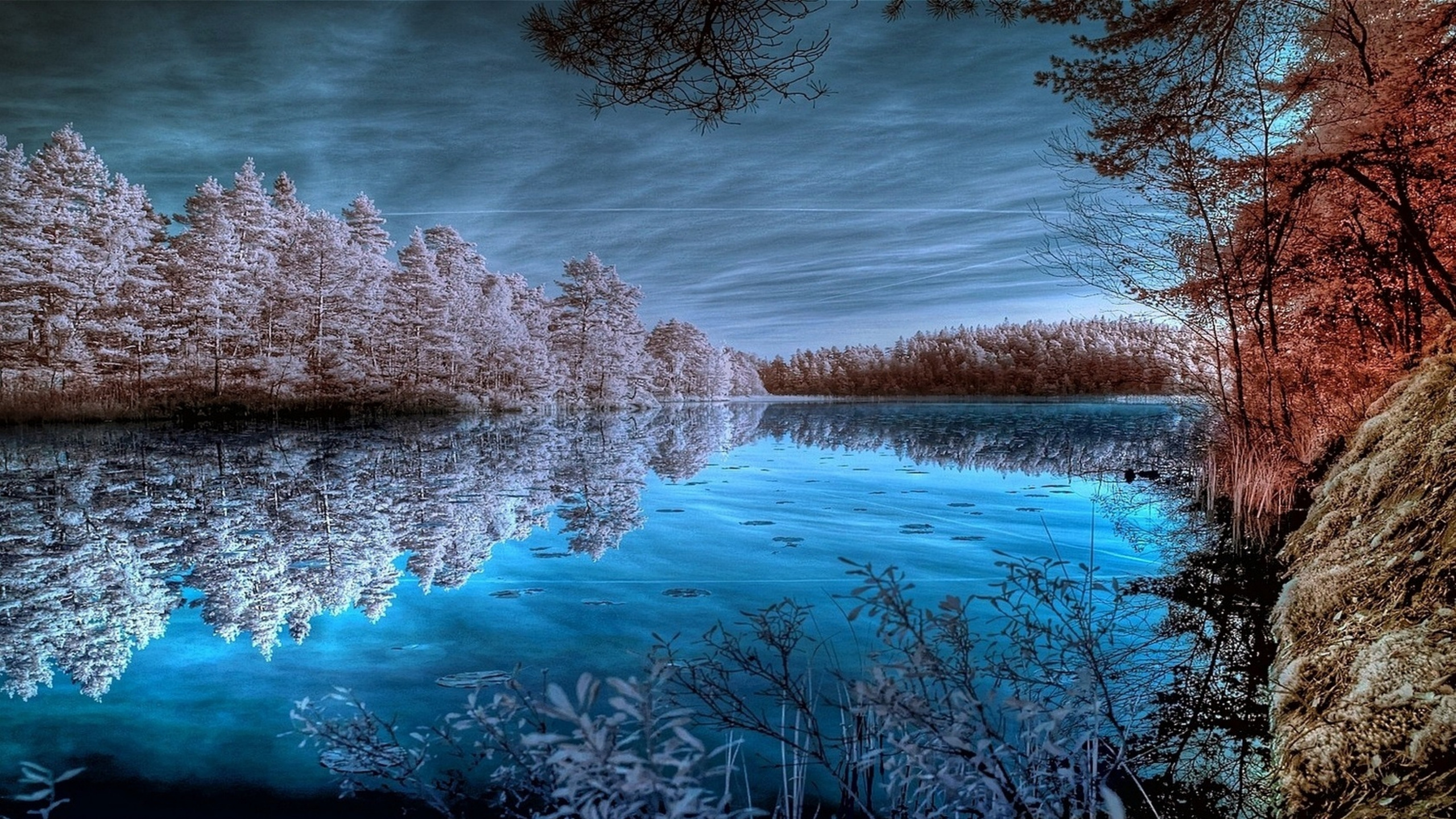 Arbres Bruns Près D'un Plan D'eau Sous un Ciel Nuageux Pendant la Journée. Wallpaper in 2560x1440 Resolution