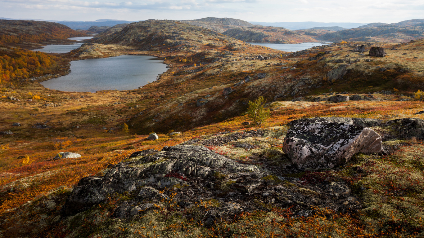 Rybachy-Halbinsel, Monche-Tundra, Chibiny-Gebirge, Poluostrov Mitte, Halbinsel. Wallpaper in 1366x768 Resolution