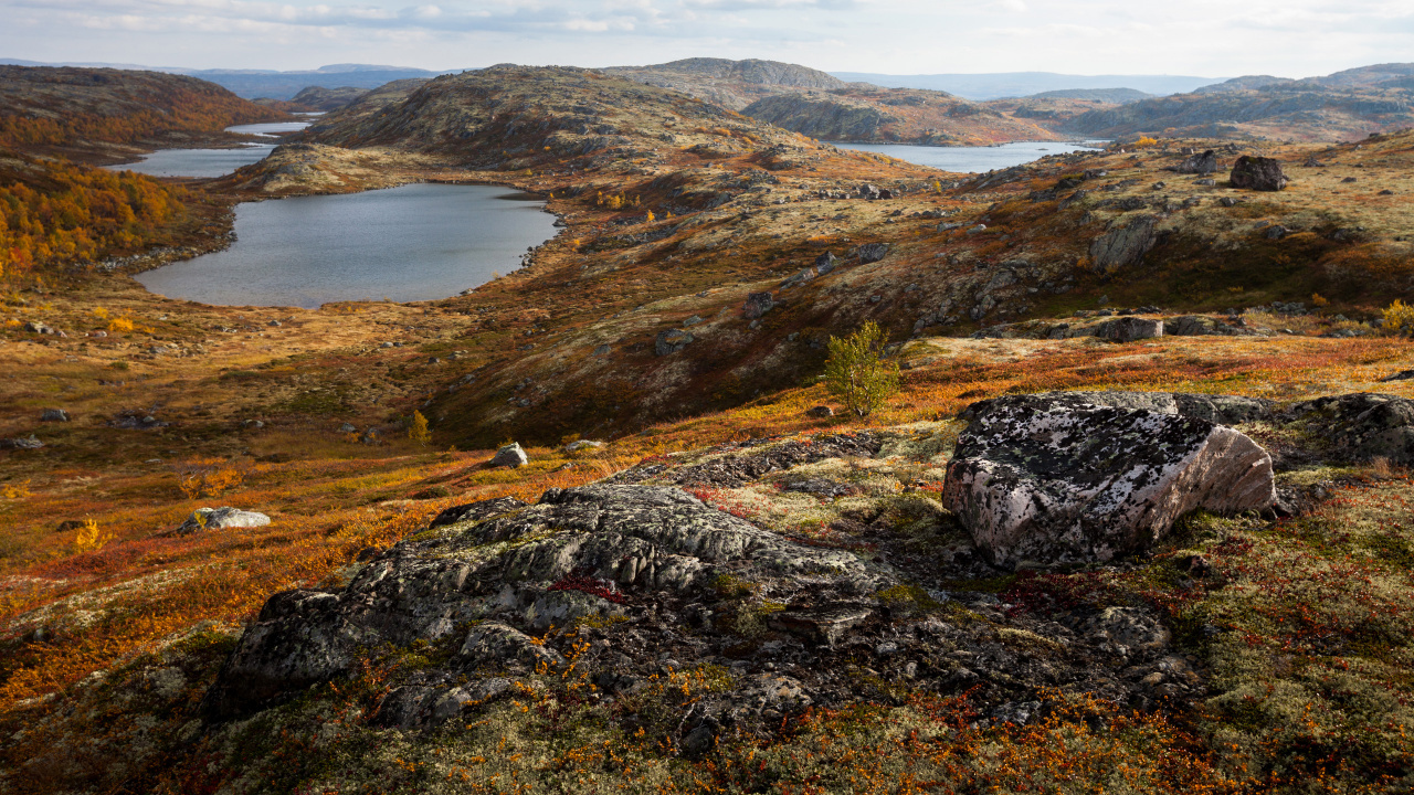 Rybachy Peninsula, Monche-tundra, Khibiny Mountains, Poluostrov Sredniy, Peninsula. Wallpaper in 1280x720 Resolution