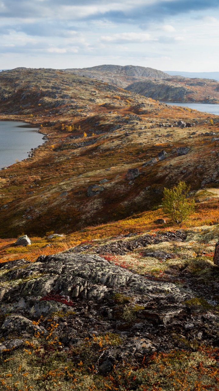 Rybachy Peninsula, Monche-tundra, Khibiny Mountains, Poluostrov Sredniy, Peninsula. Wallpaper in 720x1280 Resolution