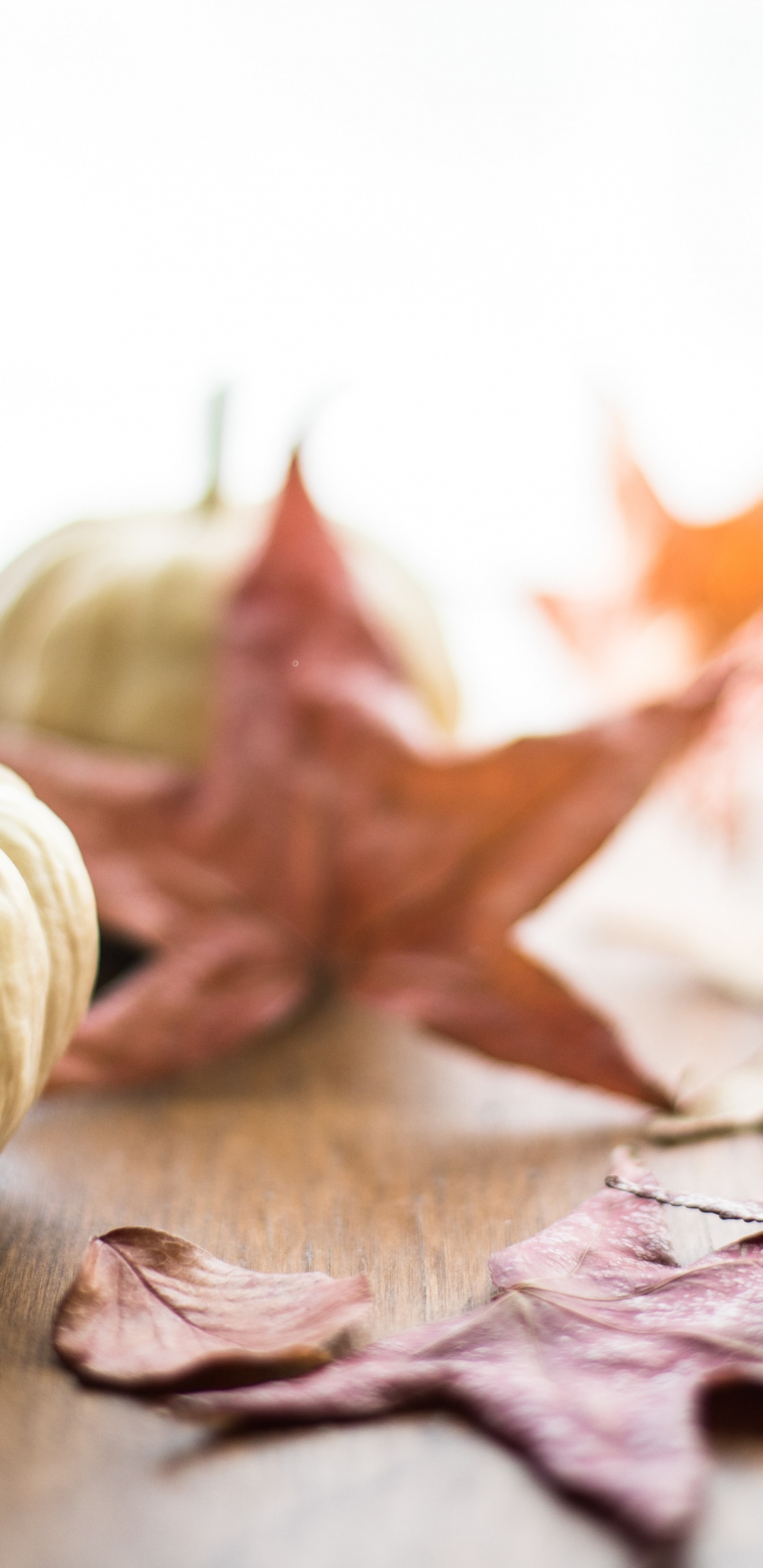 南瓜馅饼, 感恩节, 食品, 木, 成分 壁纸 1440x2960 允许