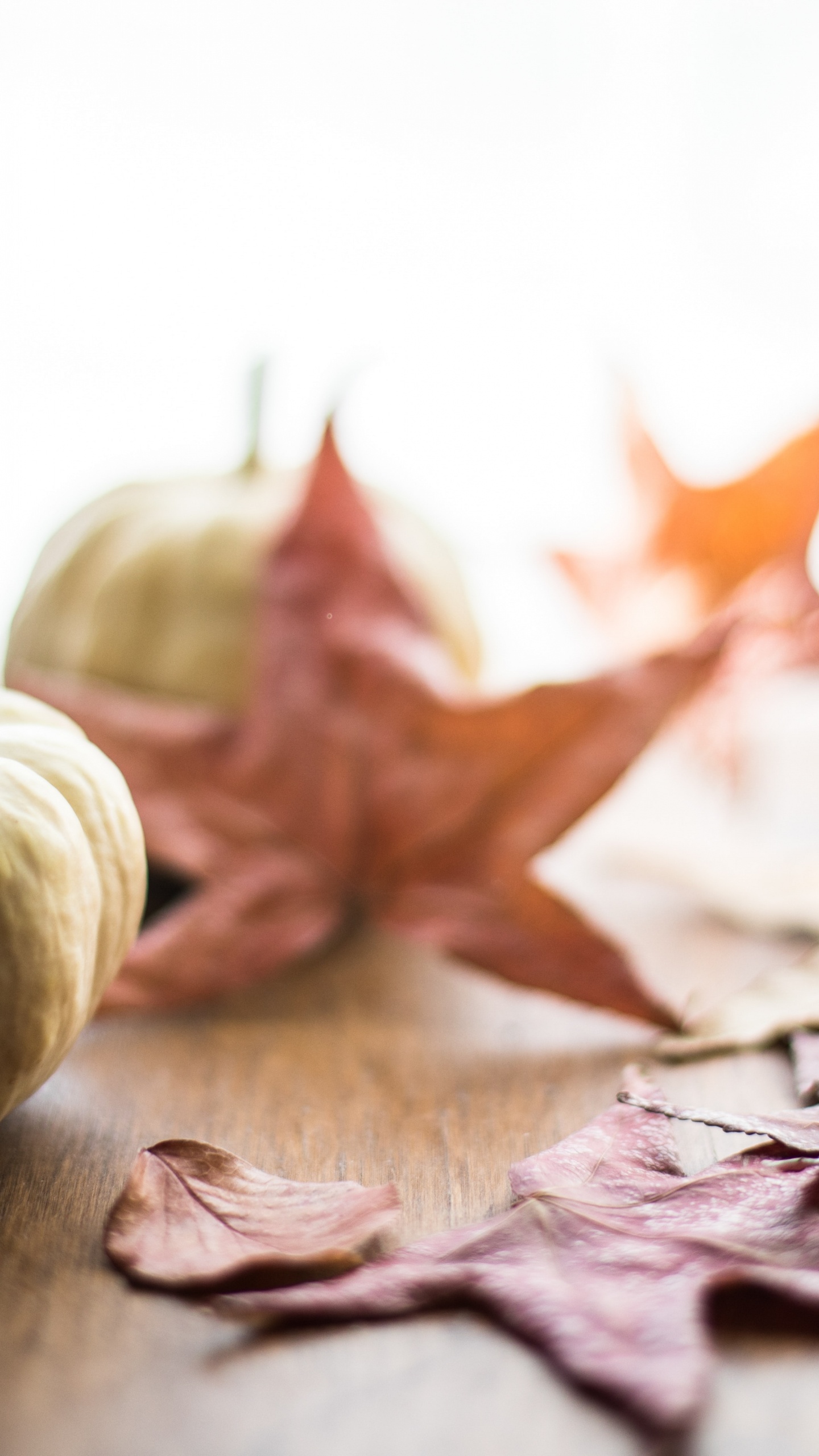 Pastel de Calabaza, Día de Acción de Gracias, Alimento, Madera, Ingrediente. Wallpaper in 1440x2560 Resolution