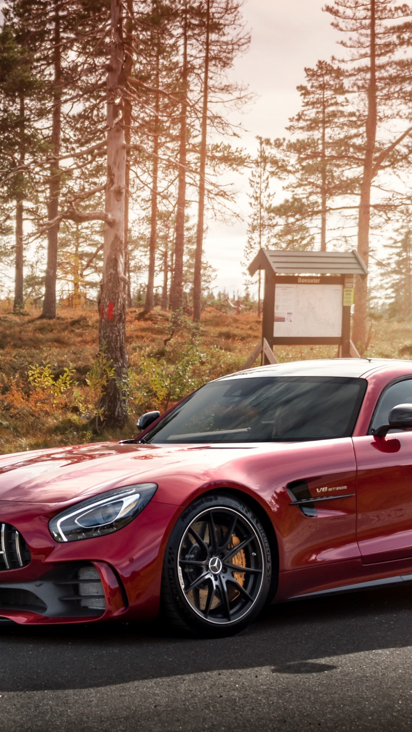 Daimlerchrysler Amg Gt, Mercedes-benz, Car, Sportwagen, Nissan Gt-r. Wallpaper in 1440x2560 Resolution