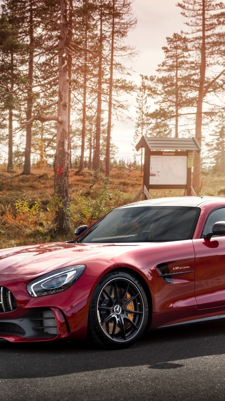 Daimlerchrysler Amg Gt, Mercedes-benz, Car, Sportwagen, Nissan Gt-r. Wallpaper in 720x1280 Resolution