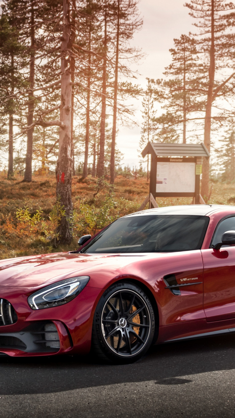 Daimlerchrysler Amg Gt, Mercedes Benz, Cars, Sports Car, Nissan gt r. Wallpaper in 750x1334 Resolution