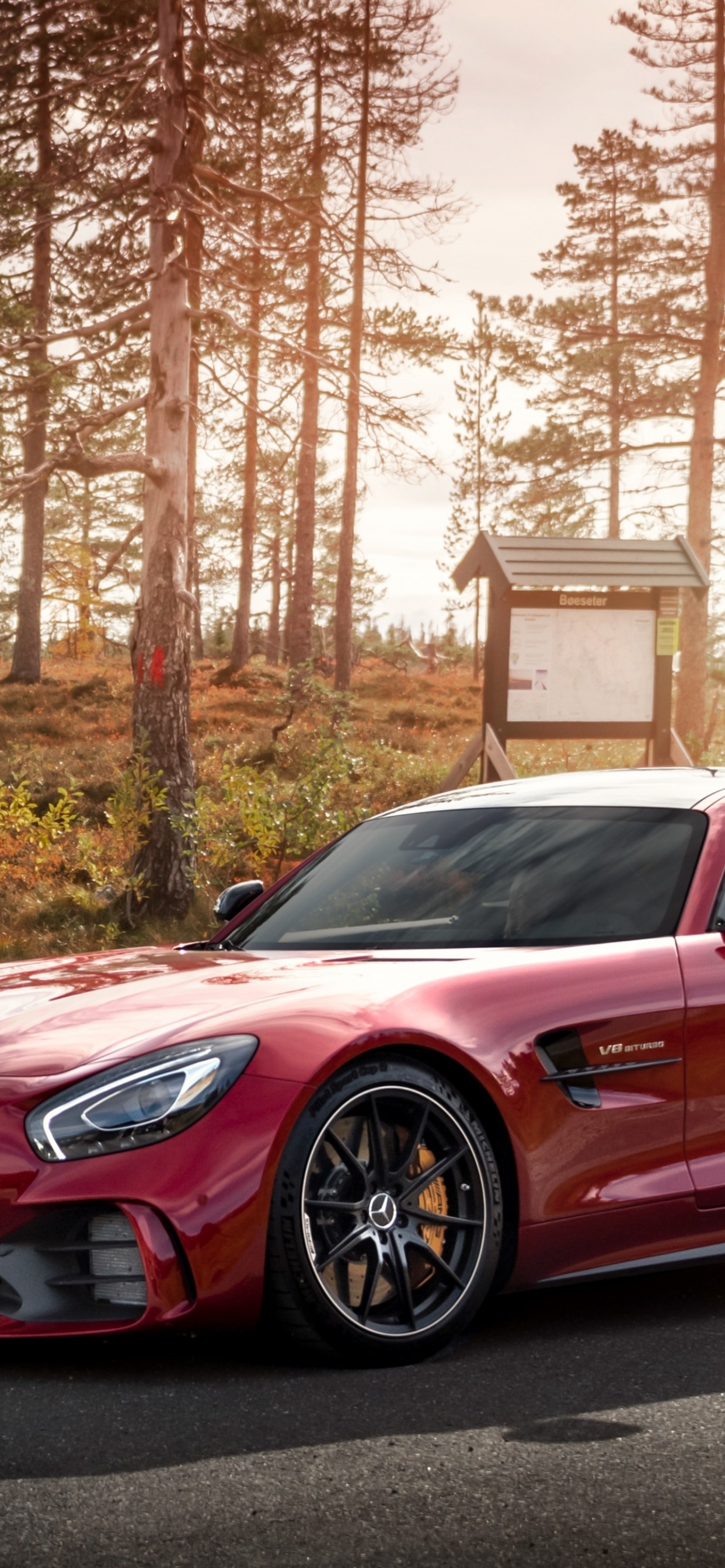 Daimlerchrysler Amg Gt, Mercedes Benz, Coche, Deportivo, Nissan gt r. Wallpaper in 1242x2688 Resolution