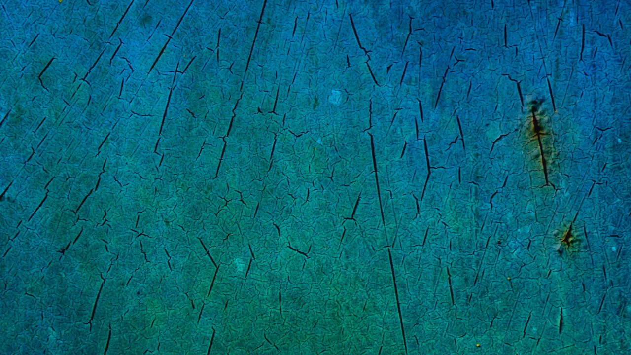 Braunes Insekt Auf Blau Gestrichener Wand. Wallpaper in 1280x720 Resolution
