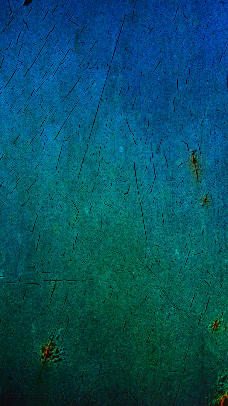Braunes Insekt Auf Blau Gestrichener Wand. Wallpaper in 750x1334 Resolution