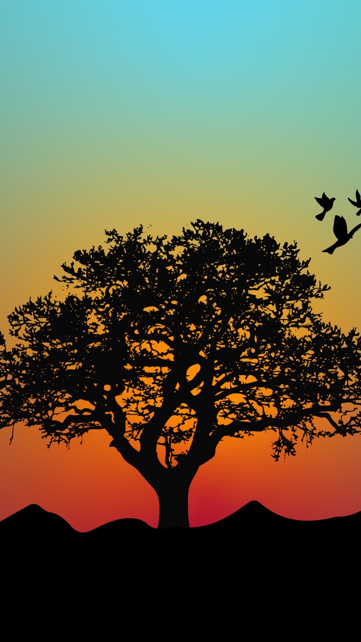 Glacier National Park, Ökoregion, Afterglow, Menschen in Der Natur, Naturlandschaft. Wallpaper in 720x1280 Resolution