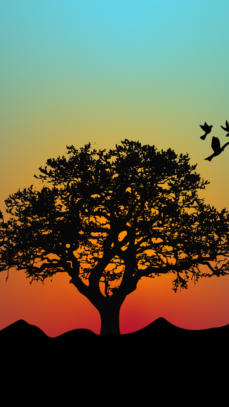 Glacier National Park, Ökoregion, Afterglow, Menschen in Der Natur, Naturlandschaft. Wallpaper in 750x1334 Resolution